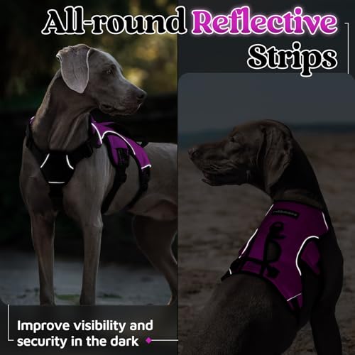 Escape Proof Dog Harness for Medium (Purple / Medium)