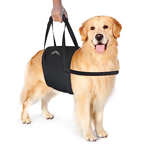 Walkabelly Support Sling (Large)