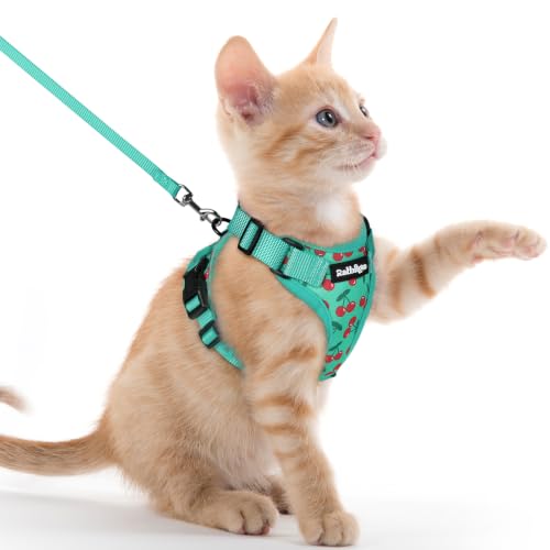 Cat Harness and Leash Set (Xxs / Cherry Grove)