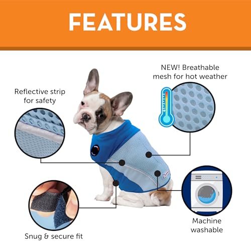 Breeze for Dogs Calming Anxiety Vest (Sky Blue / X-Small)