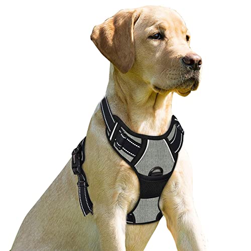 No Pull Dog Harness Front Clip Heavy Duty Reflective Easy Control Handle for Large Dog Walking (Large(Chest:24.5-32.5") / Flint Gray)
