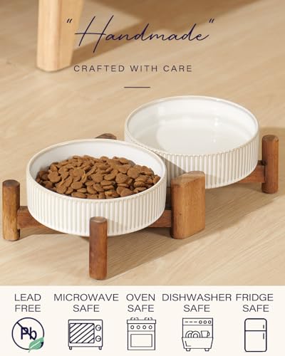 Elevated Ceramic Dog Cat Bowl Set (Small-1.8Cups / Vintage White)