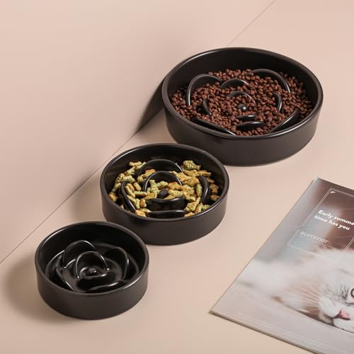 Black Ceramic Dog Bowl Slow Feeder for Medium and Large Breed (8.26 In Black Slow Feeder Bowl / Black)