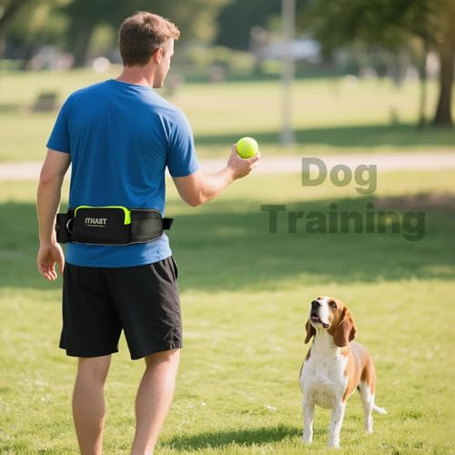 Hands Free Dog Leash for Medium Large Dogs (for One Dog / Black/Green)