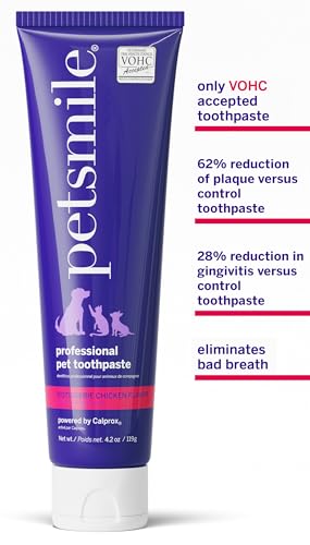 Teeth Brushing Kit (4.2 Ounce (Pack of 1))