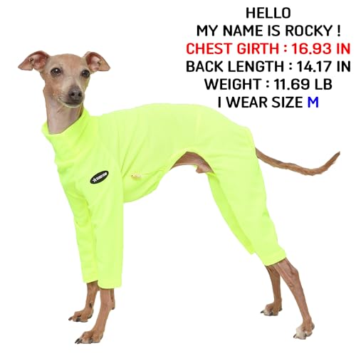 D Doggy Star Italian Greyhound Clothes Stretchy Neon Onesie Spring Summer (L / Onsi Ne Yellow)