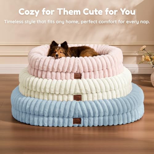 Orthopedic Dog Bed (Light Blue / M(30*24*7))