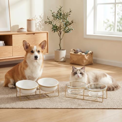 Large Small Double Elevated Dog Bowls (Large / White×2)