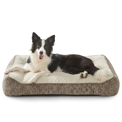 XL Orthopedic Dog Beds Large Sized Dog (L Plus(38"L x 28"W x 8"Th) / Beige)