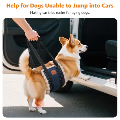 Portable Dog Sling for Medium Dogs Hind Leg Support Weak Rear Legs (Dark Blue&Apricot / Medium)