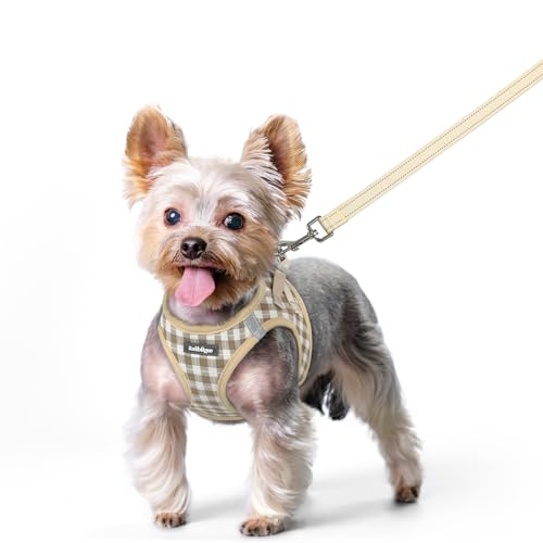 Dog Harness Small Sized and Leash Set (Beige Check / Xs (chest: 13.3 - 15.5"))