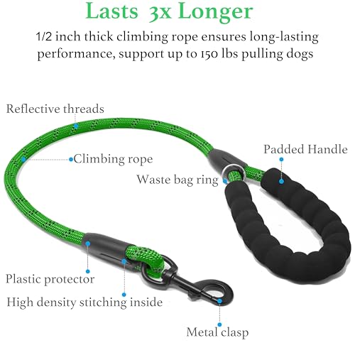 Double Dog Leash (Emerald / Large)