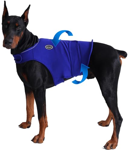 Dog Anxiety Vest (L-Chest(18.8"-26.9") / Blue)