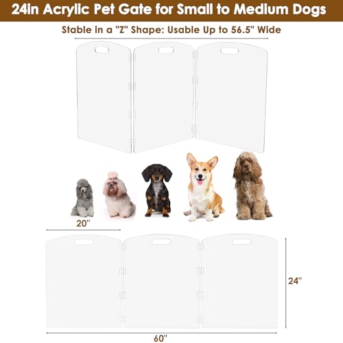 Modern Frame Clear Acrylic Freestanding Pet Gate (24" Height-3 Panel)