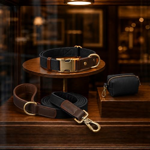PU Leather Dog Leash for Large Dogs (Black / 1"x 6FT)