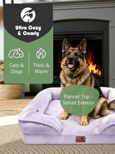 Orthopedic Dog Bed with Sides (42.0"L x 32.0"W x 6.5"Th / Purple)