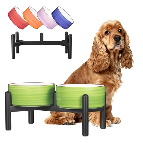 Ceramic Elevated Dog Bowl Set (Thread green / 3.5 Cups)