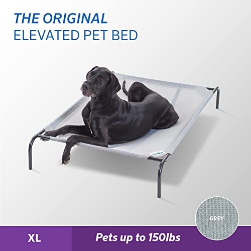 Original Elevated Dog Bed (X-Large Dog Bed / Grey)