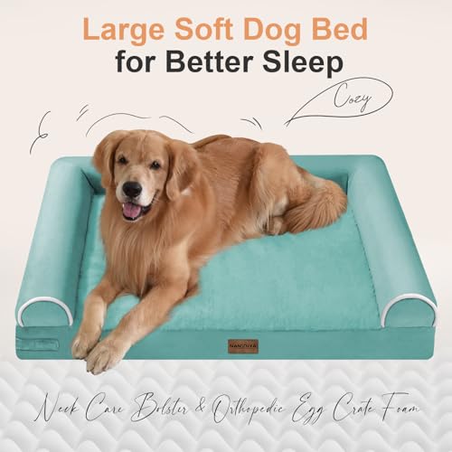 Orthopedic Dog Bed for Jumbo Dogs (Aqua Blue / 53.0"L x 42.0"W x 6.5"Th)