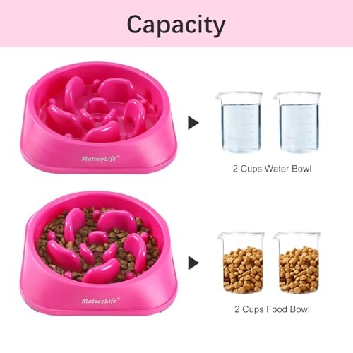1 Pack Slow Feeder Dog Bowls (J-Purple / Medium)