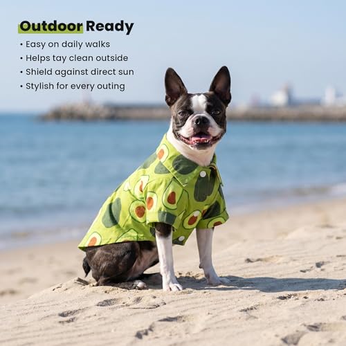 Avocado Hawaiian Dog Shirt (Medium / Avocado)