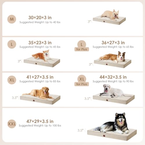 Orthopedic Dog Crate Beds for Medium Dogs (Beige / 30*20*3 Inches)