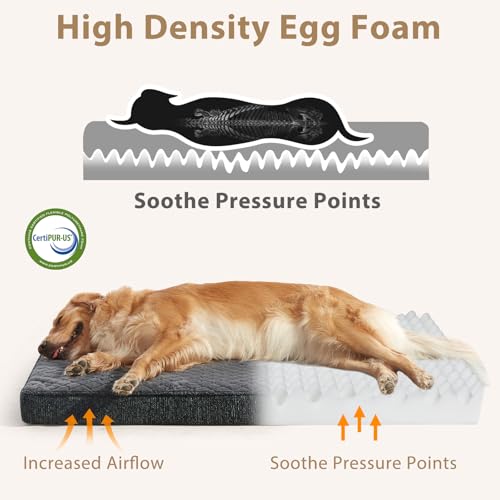 Orthopedic Medium Dog Bed (M(29"x18") / Grey)