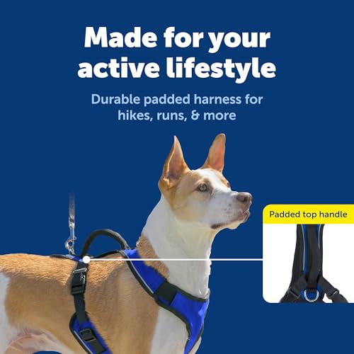 EasySport Dog Harness (Medium / Blue)