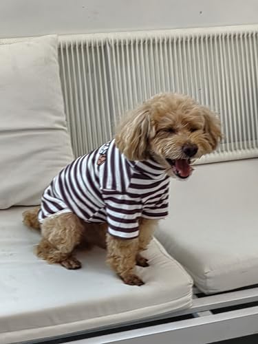 Turtleneck Dog Shirt Cute Doggie Embroidery Super Soft Dog Sweatshirt Stretchy Striped Puppy Pullover for Cats Small Medium Large Dogs (Brown Striped / Small)
