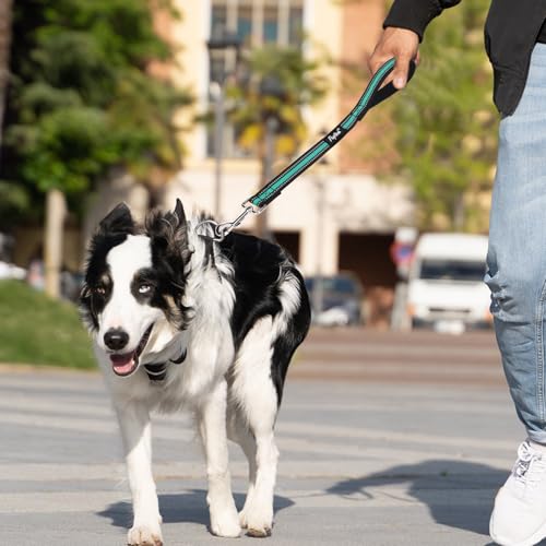 Reflective Short Dog Leashes 3 Pack for Walking and Training (Green / 1FT+1.5FT+2.5FT)