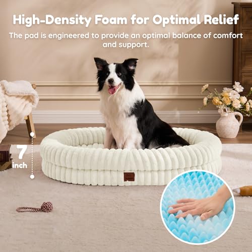 Orthopedic Dog Bed (Cream / XL(41*30*7))