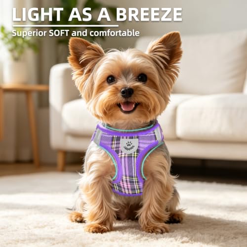 Dog Harness Collar and Leash Set No Pull for Small Medium Sized (Purple / XL (CHEST 20"-22"))
