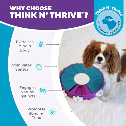 Nina Ottosson Dog Twister Dog Toy Treat Puzzle (Dog Twister (Purple, Blue) / 1 Count (Pack of 1))