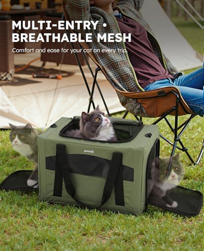 Cat Carrier Stable (Green Regular / 16.9"L x 11.0"W x 11.0"H)