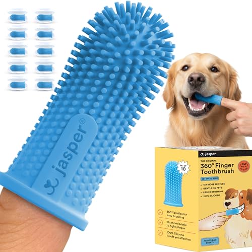 Dog Toothbrush (Blue (10-pack))