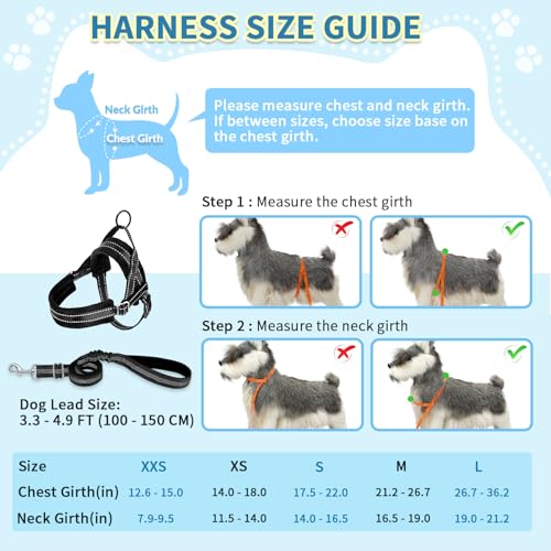 No Pull Small Dog Harness and Leash Set with Front Clip (XX-Small / Black)
