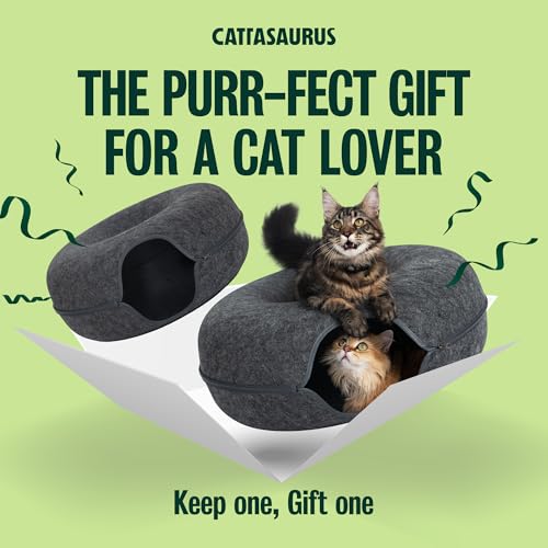 Peekaboo Cat Cave Duo Jumbo Set (Dark Gray + Dark Gray / Jumbo)