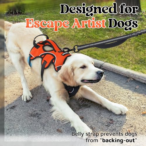 Escape Proof Dog Harness for X (Orange / X-Large)