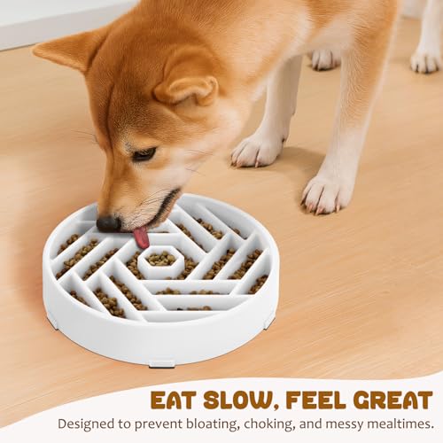Slow Feeder Dog Bowl (white)