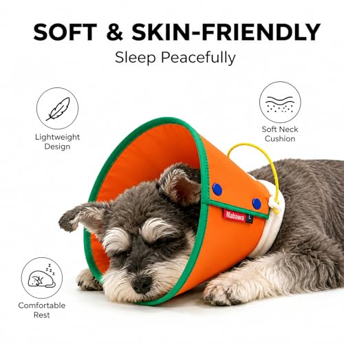 Soft Dog Cone Collar for Dogs & Cats (Orange / M)