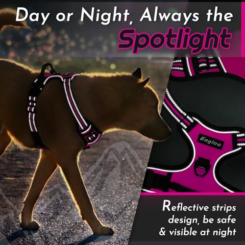 Dog Harness for Medium Sized Dogs (Medium / Rose Red)