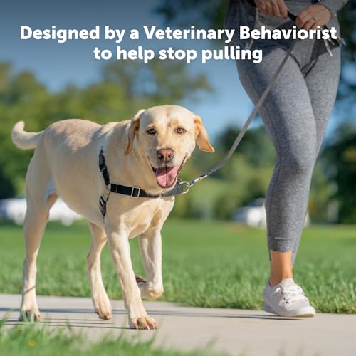 Easy Walk Harness for Dogs (Large / Black)