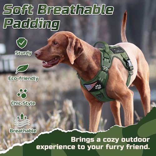 Tactical Dog Harness for Medium (Green / Medium)