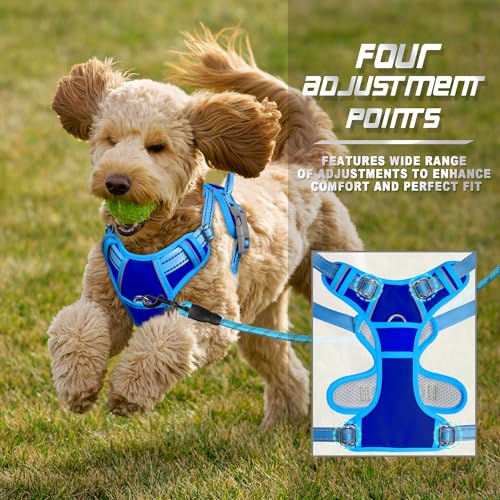 Dog Harness No Pull for Small Sized Dog Front Back Clips (Small(Chest:19.5-26") / Sapphire Blue & Blue)