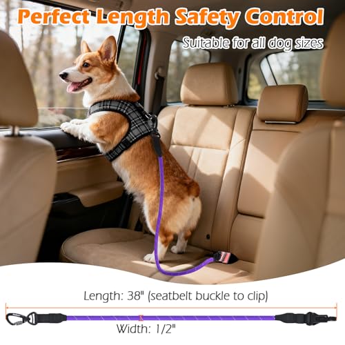 Dog Seat Belt for Car (Purple / 1 Pack)
