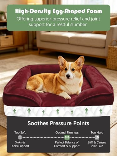 Orthopedic Dog Bed with Sides (28.0"L x 23.0"W x 6.5"Th / Burgundy)