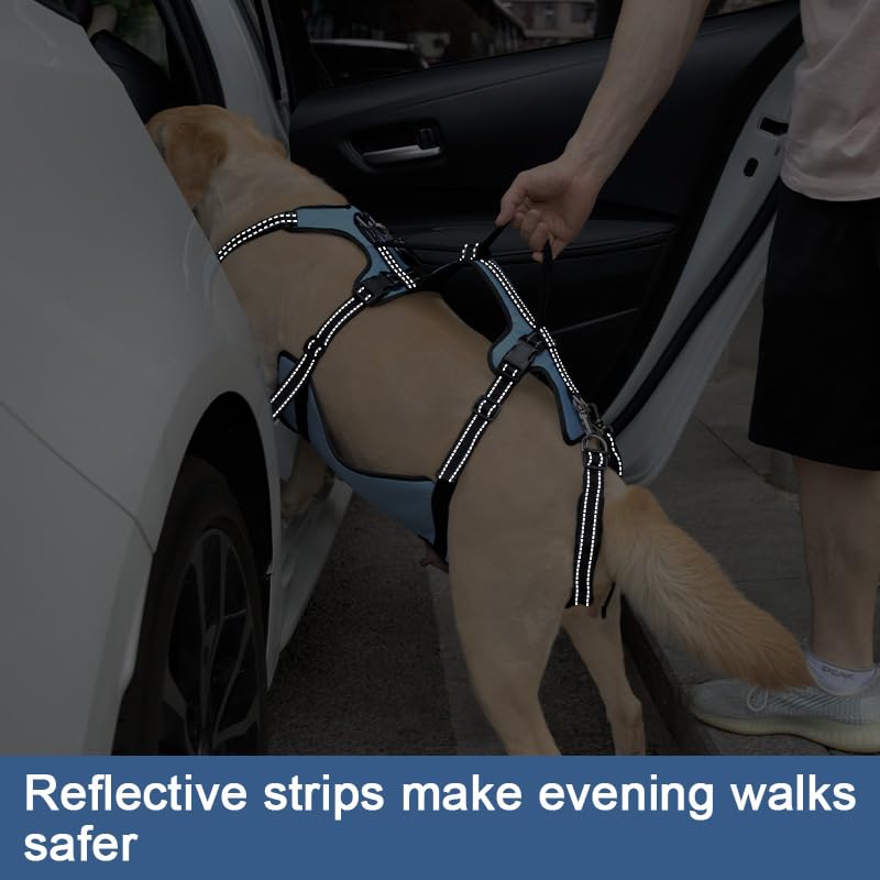 Dog Lift Harness (XL / Blue)