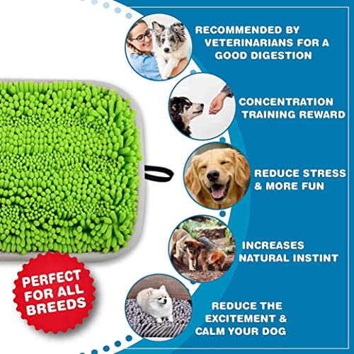 Snuffle Mat for Dogs (NEW-Green)