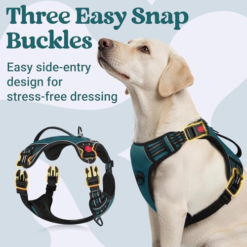 Large Dog Harness (Large / Green)