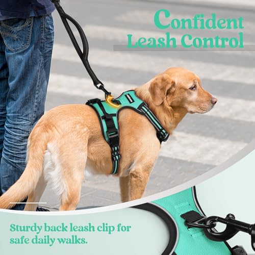 Dog Harness No Pull Medium Sized with 2 Leash Clips (Medium / Turquoise)